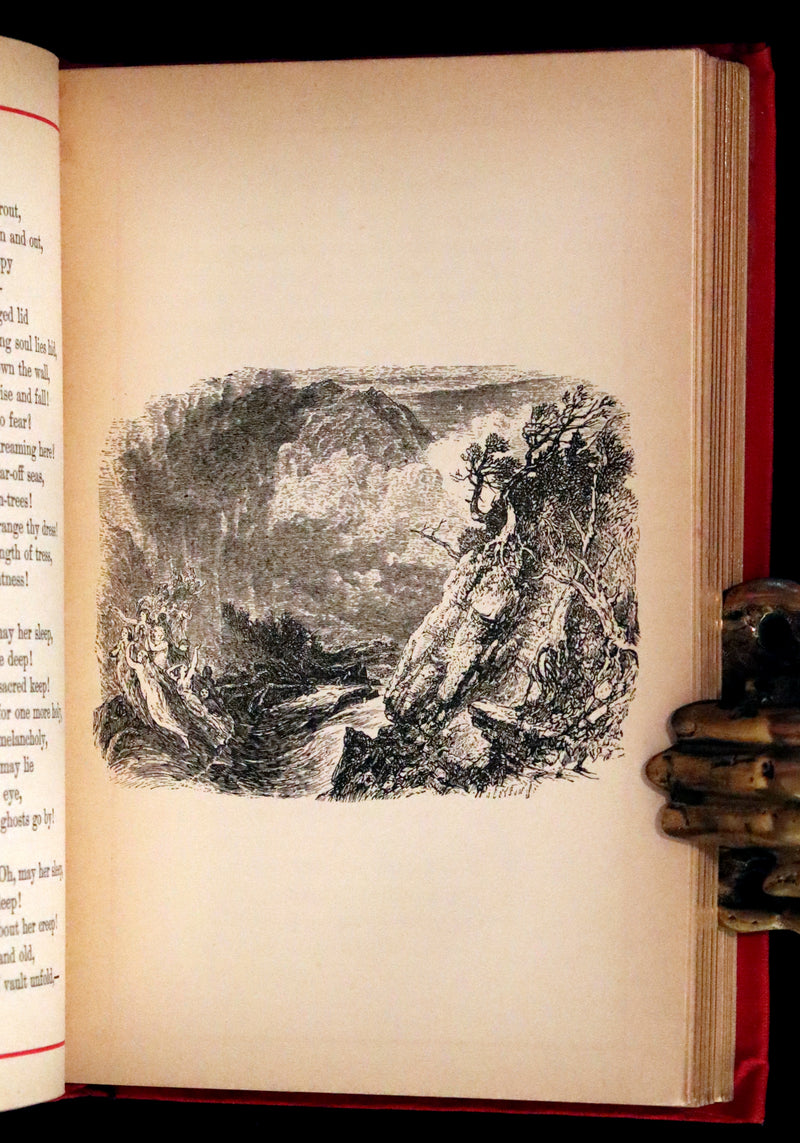 1884 Rare Book - Poems by Edgar Allan POE with Memoir (The Raven, Lenore, Fairy-Land, ...)