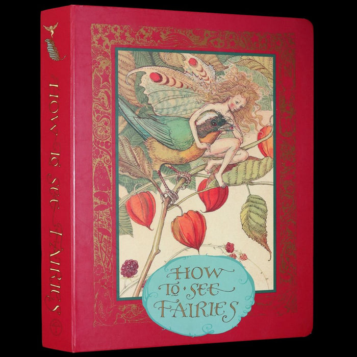 1999 Scarce Signed First Edition - How to See Fairies (Boxed Edition) by Charles van Sandwyk.