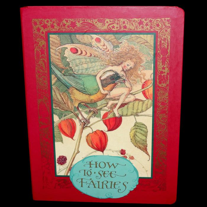 1999 Scarce Signed First Edition - How to See Fairies (Boxed Edition) by Charles van Sandwyk.