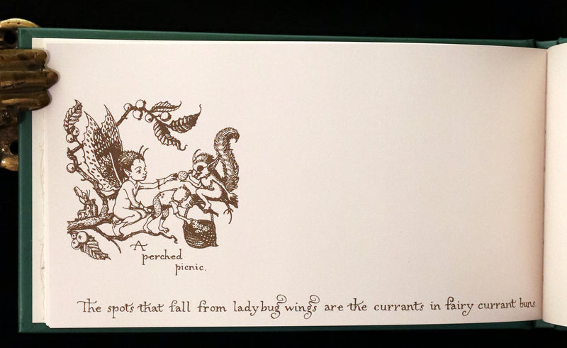 1999 Scarce Signed First Edition - How to See Fairies (Boxed Edition) by Charles van Sandwyk.