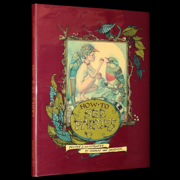 1999 Scarce Signed First Edition - How to See Fairies (Boxed Edition) by Charles van Sandwyk.