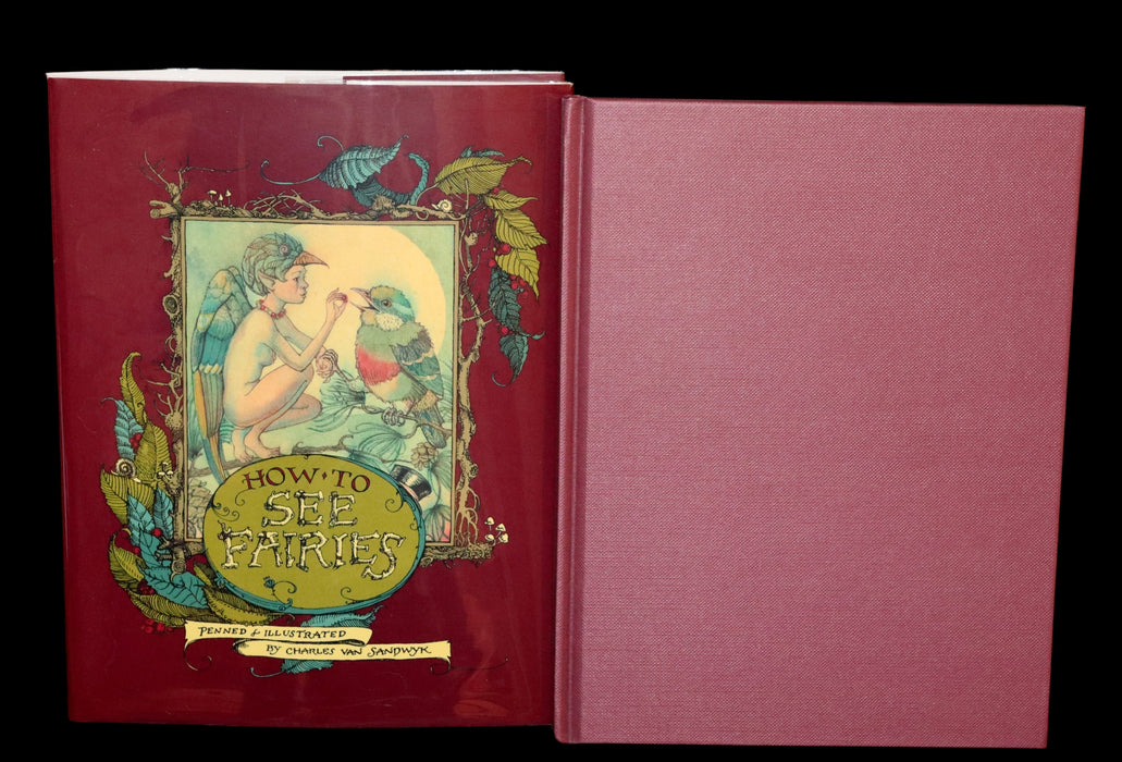 1999 Scarce Signed First Edition - How to See Fairies (Boxed Edition) by Charles van Sandwyk.