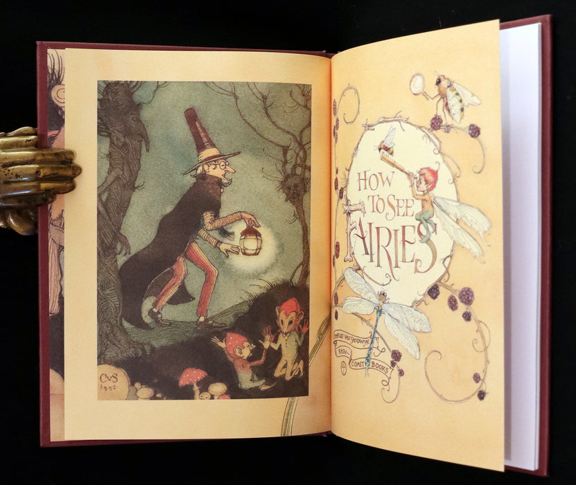 1999 Scarce Signed First Edition - How to See Fairies (Boxed Edition) by Charles van Sandwyk.