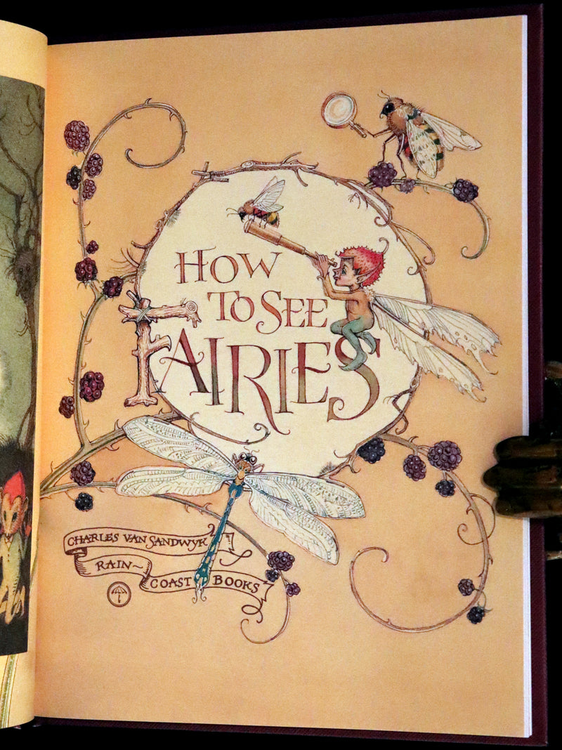 1999 Scarce Signed First Edition - How to See Fairies (Boxed Edition) by Charles van Sandwyk.