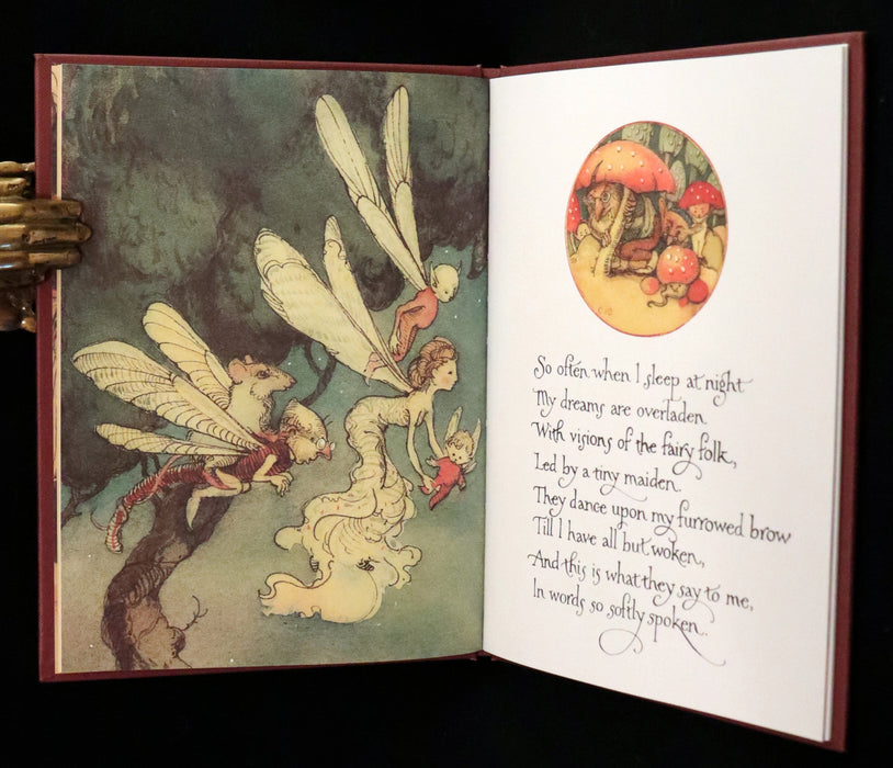 1999 Scarce Signed First Edition - How to See Fairies (Boxed Edition) by Charles van Sandwyk.