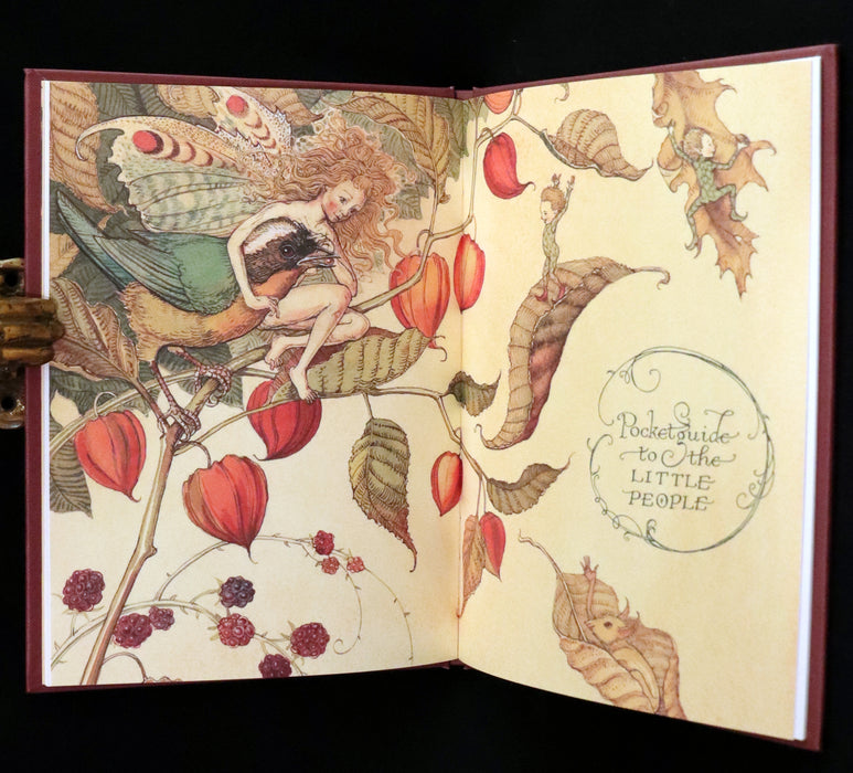 1999 Scarce Signed First Edition - How to See Fairies (Boxed Edition) by Charles van Sandwyk.