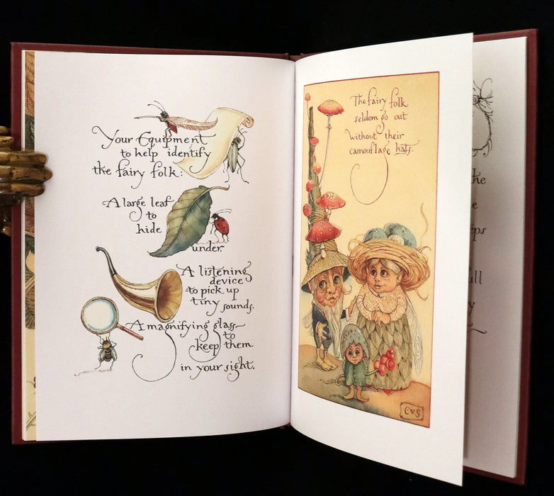 1999 Scarce Signed First Edition - How to See Fairies (Boxed Edition) by Charles van Sandwyk.