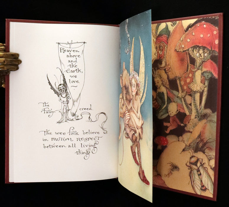 1999 Scarce Signed First Edition - How to See Fairies (Boxed Edition) by Charles van Sandwyk.