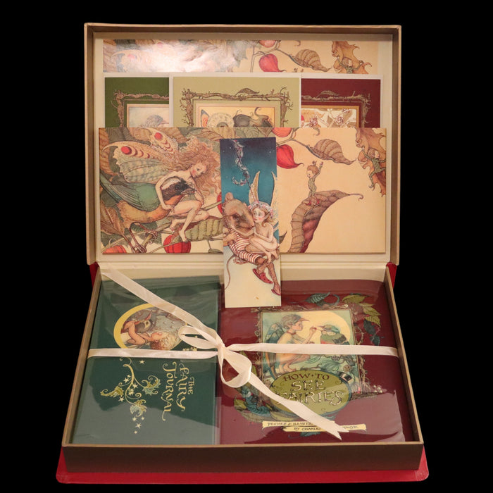 1999 Scarce Signed First Edition - How to See Fairies (Boxed Edition) by Charles van Sandwyk.