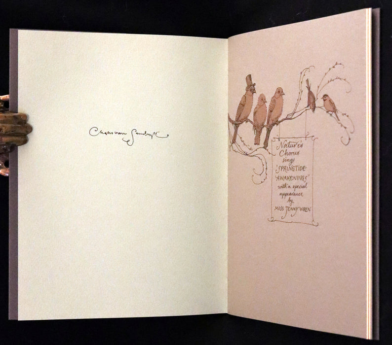 2008 Rare Signed First Edition - Mr. Rabbit's Symphony of Nature by Charles van Sandwyk.