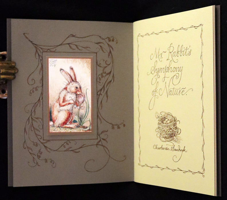 2008 Rare Signed First Edition - Mr. Rabbit's Symphony of Nature by Charles van Sandwyk.