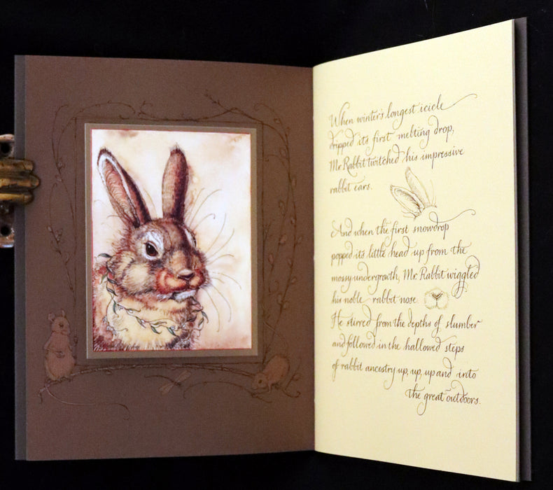 2008 Rare Signed First Edition - Mr. Rabbit's Symphony of Nature by Charles van Sandwyk.