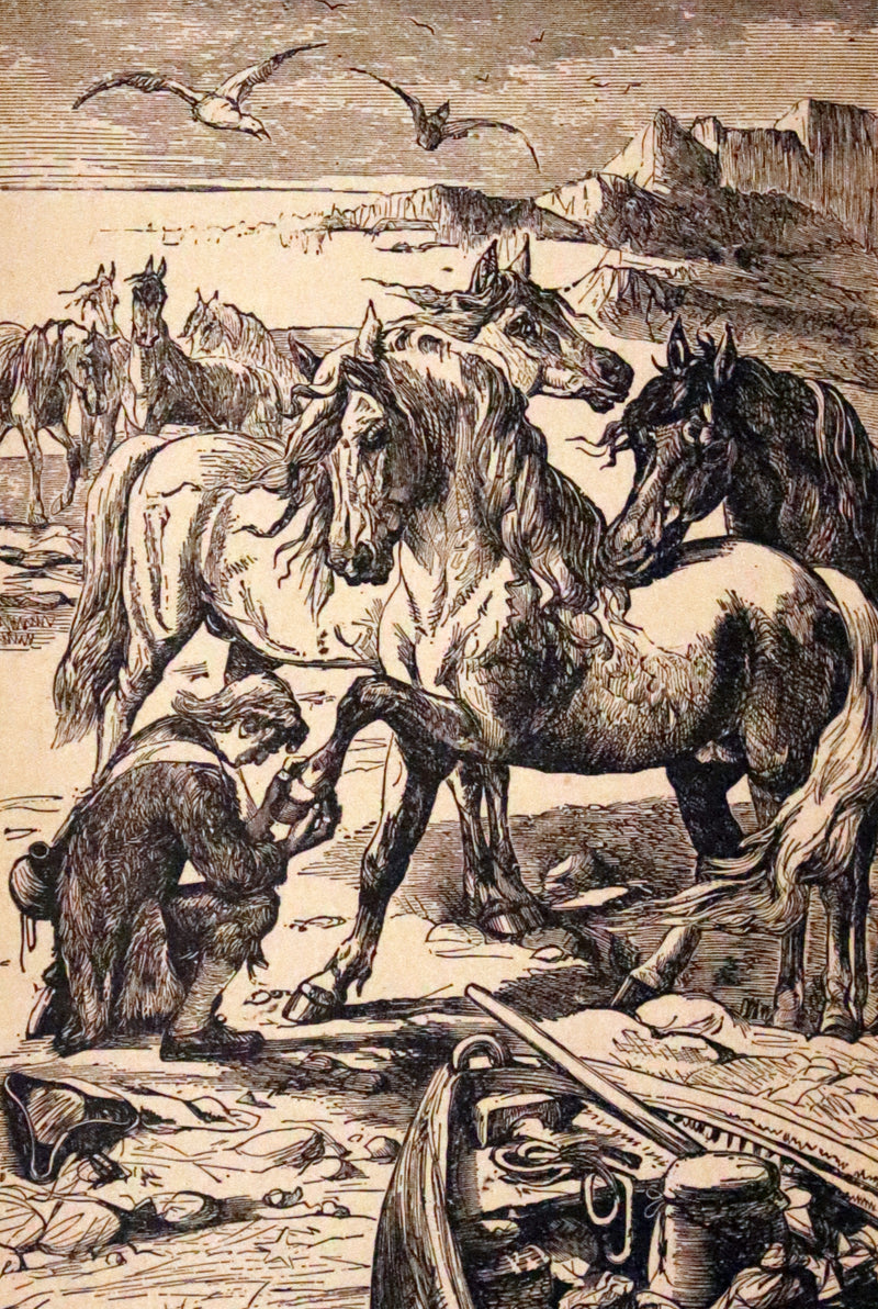 1880 Rare Victorian Book - Gulliver's Travels Into Several Remote Nations of the World & Baron Munchausen, Illustrated.