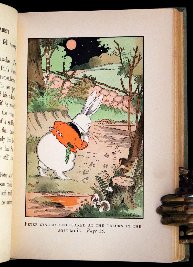 1925 Rare Book - Mrs. Peter Rabbit by Thornton W. Burgess, illustrated by Harrison Cady.