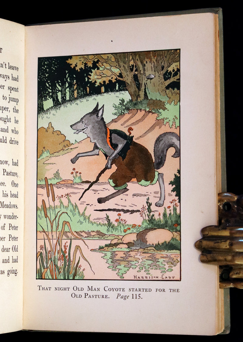 1925 Rare Book - Mrs. Peter Rabbit by Thornton W. Burgess, illustrated by Harrison Cady.