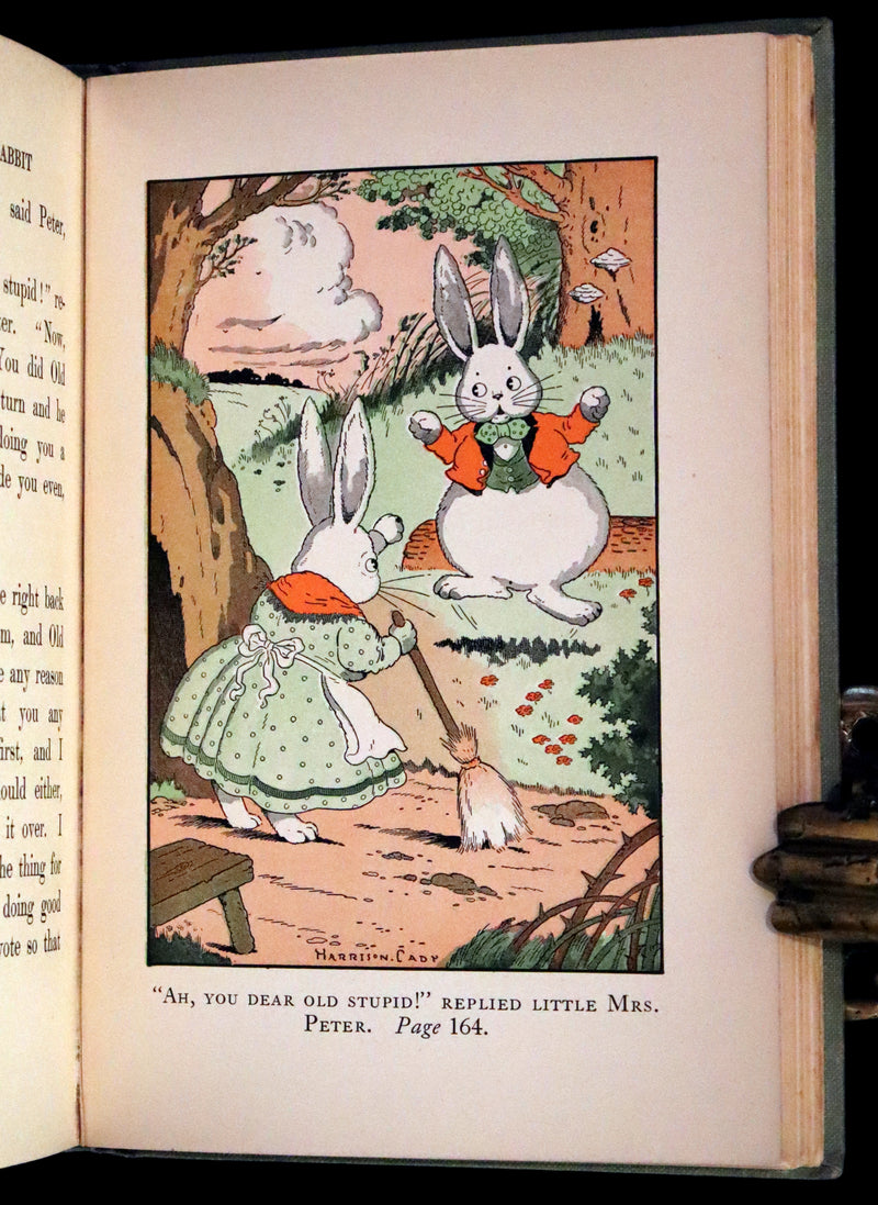 1925 Rare Book - Mrs. Peter Rabbit by Thornton W. Burgess, illustrated by Harrison Cady.