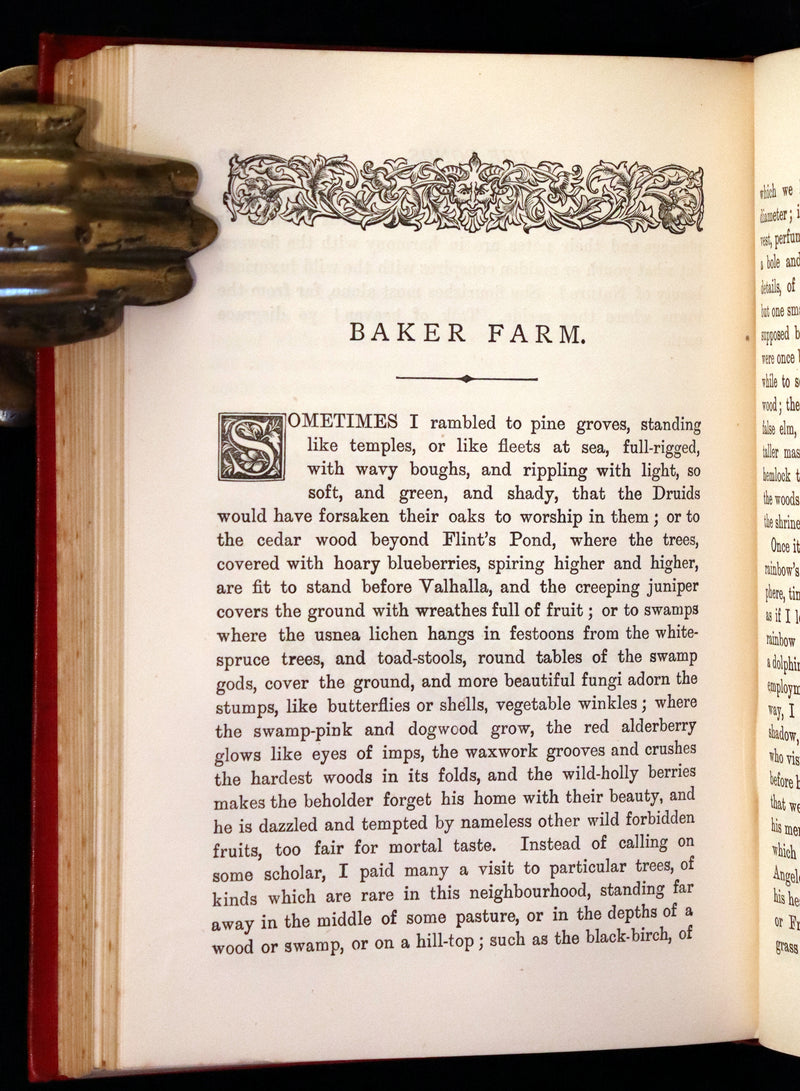 1886 Rare Book - Walden; or, Life in the Woods by Henry David Thoreau.