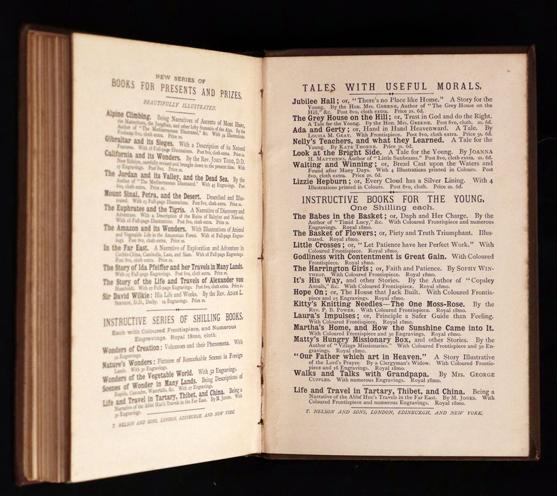 1882 Rare Victorian Book - Alpine Climbing: Narratives of Recent Ascents of Mont Blanc and Other Summits of the Alps.