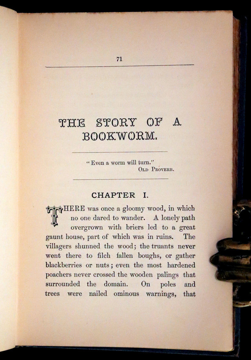 1890 Scarce First Edition ~ The Blue Mountains and Other Stories for Children.