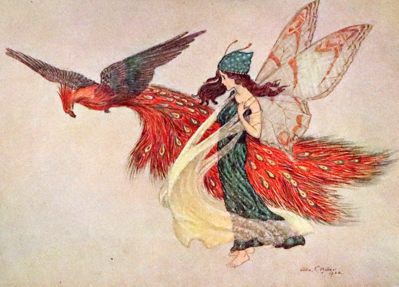 1923 Rare First Edition - The Rose Fyleman Fairy Book Illustrated by Hilda T. Miller.