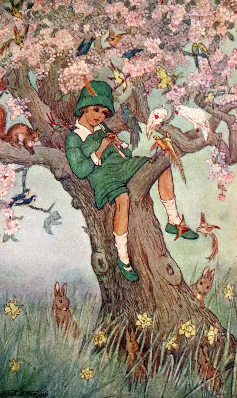 1923 Rare First Edition - The Rose Fyleman Fairy Book Illustrated by Hilda T. Miller.