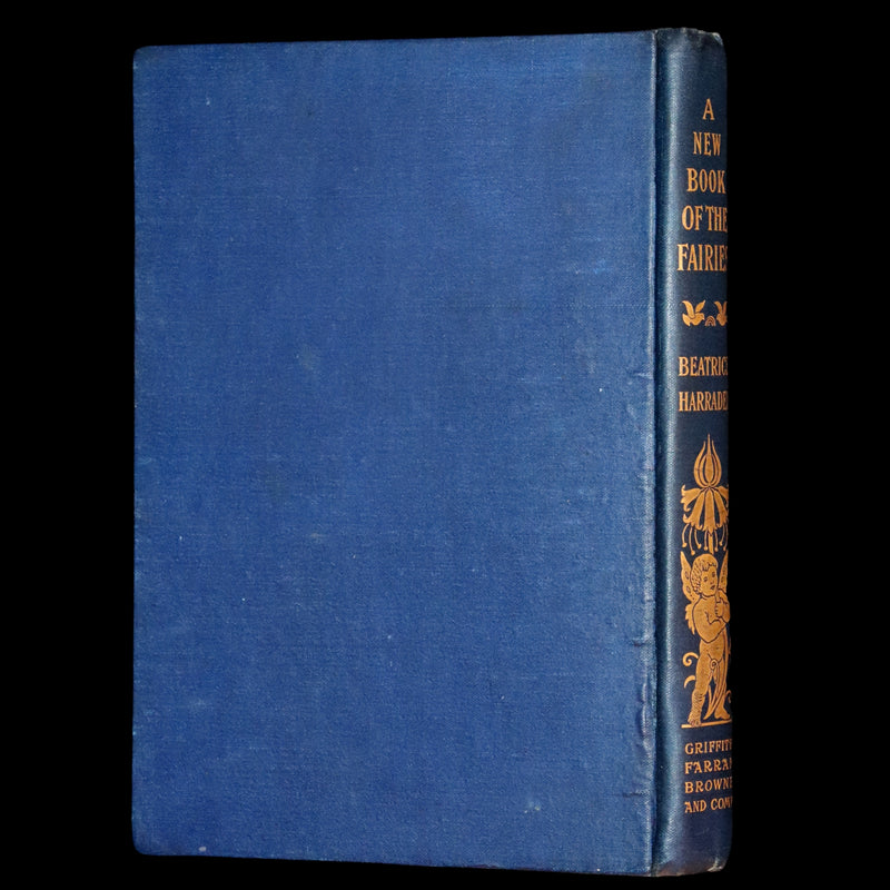 1897 Rare book - A New Book Of The Fairies By Beatrice Harraden illustrated by Edith D. Lupton.