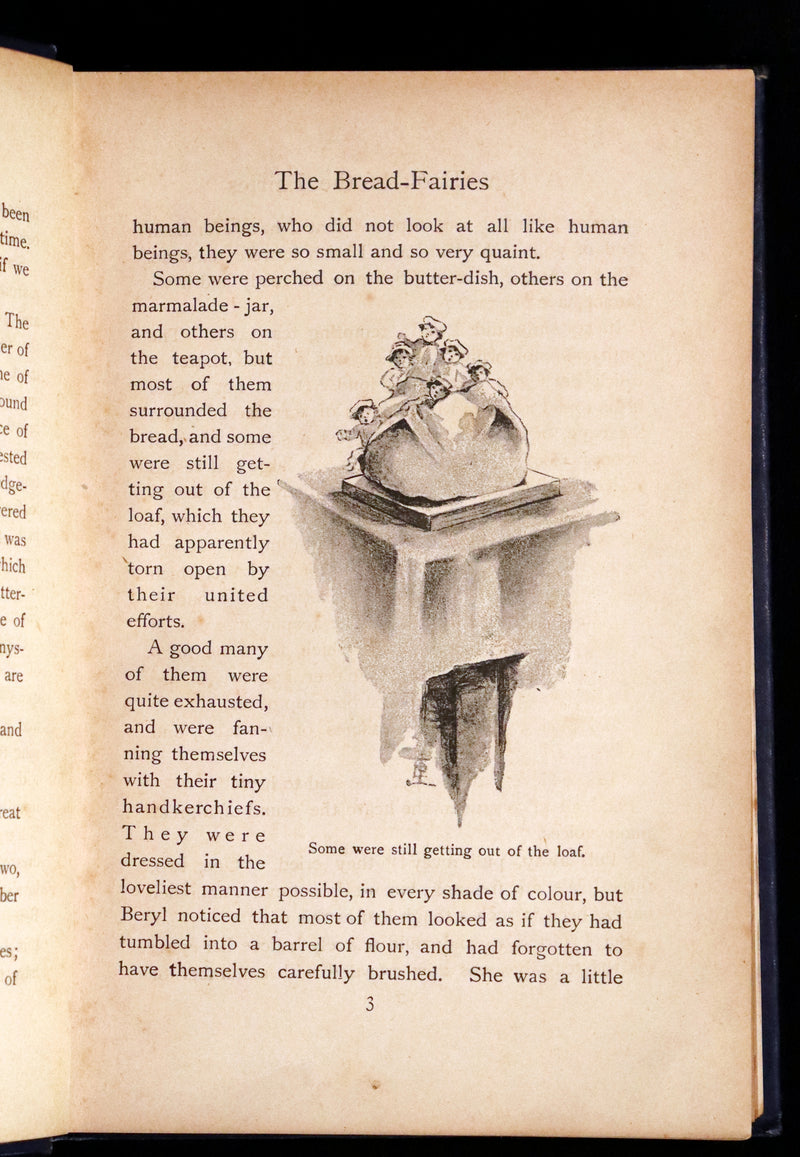 1897 Rare book - A New Book Of The Fairies By Beatrice Harraden illustrated by Edith D. Lupton.