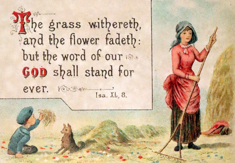 1887 Scarce Victorian Book ~ Crowning Mercies, A Text Book for Every Day in the Month by J. Stanley.