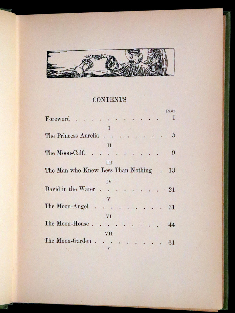 1895 Rare First Edition - The Garden Behind the Moon, A Real Story of the Moon Angel by Howard Pyle.