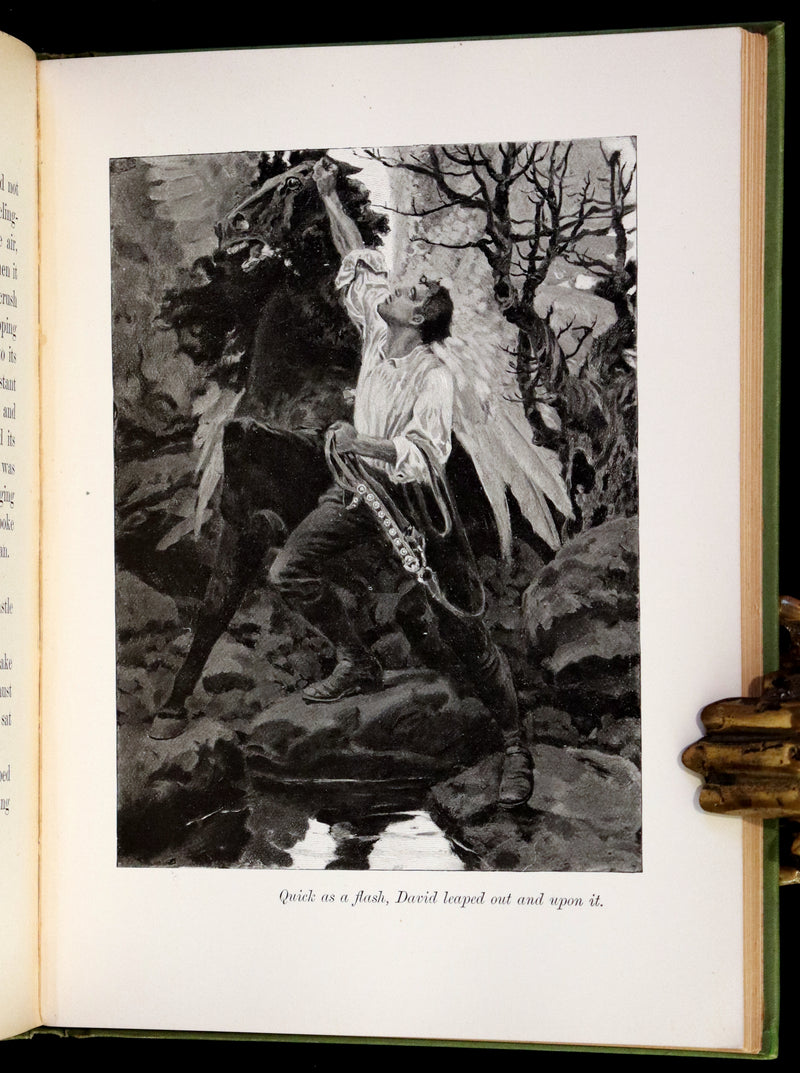1895 Rare First Edition - The Garden Behind the Moon, A Real Story of the Moon Angel by Howard Pyle.