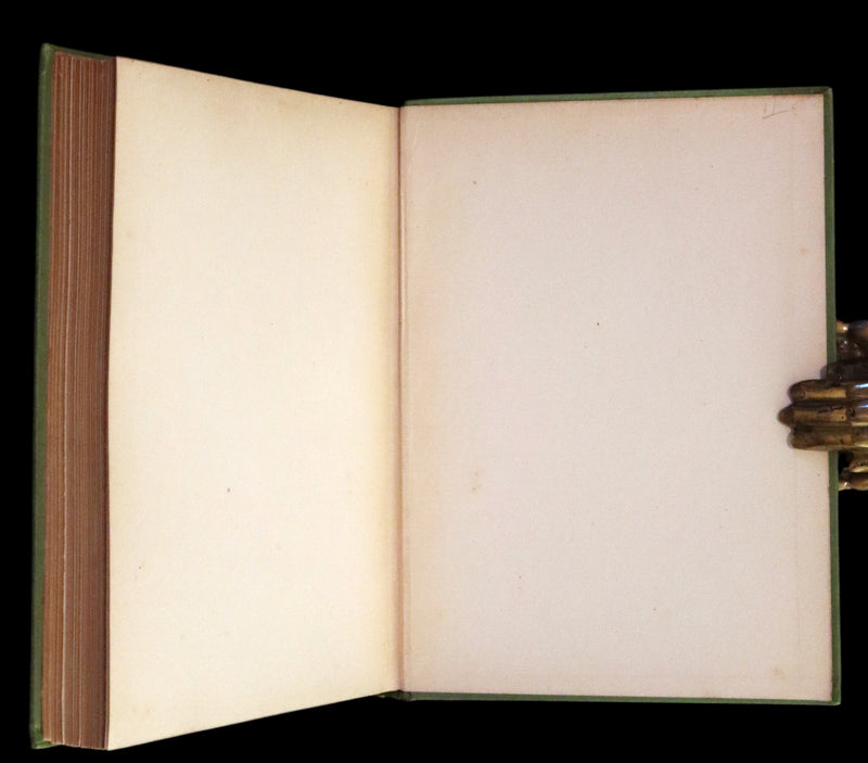 1895 Rare First Edition - The Garden Behind the Moon, A Real Story of the Moon Angel by Howard Pyle.
