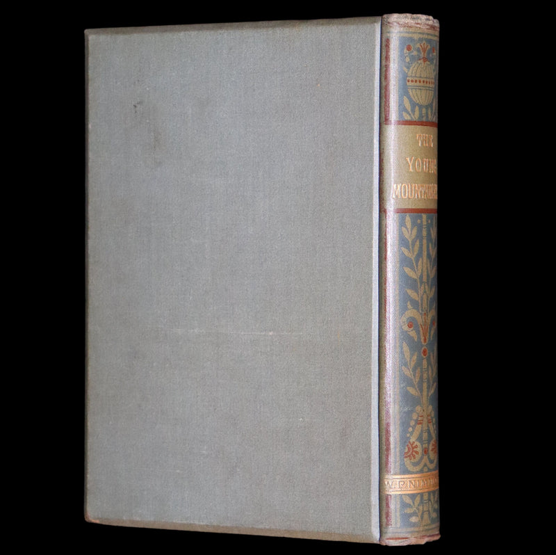 1878 Scarce First Edition - The Young Mountaineer or Frank Miller's Lot in Life. The Story of a Swiss Boy by Daryl Holme.