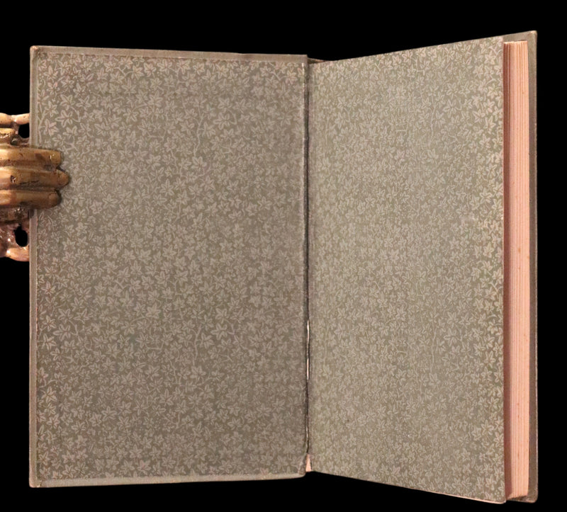 1878 Scarce First Edition - The Young Mountaineer or Frank Miller's Lot in Life. The Story of a Swiss Boy by Daryl Holme.