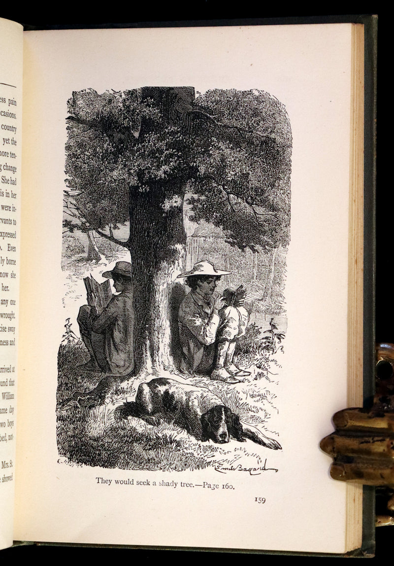 1878 Scarce First Edition - The Young Mountaineer or Frank Miller's Lot in Life. The Story of a Swiss Boy by Daryl Holme.