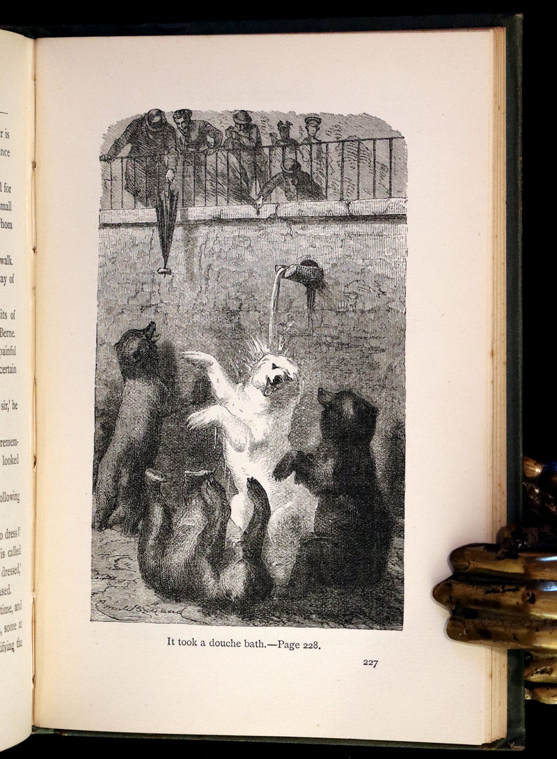 1878 Scarce First Edition - The Young Mountaineer or Frank Miller's Lot in Life. The Story of a Swiss Boy by Daryl Holme.