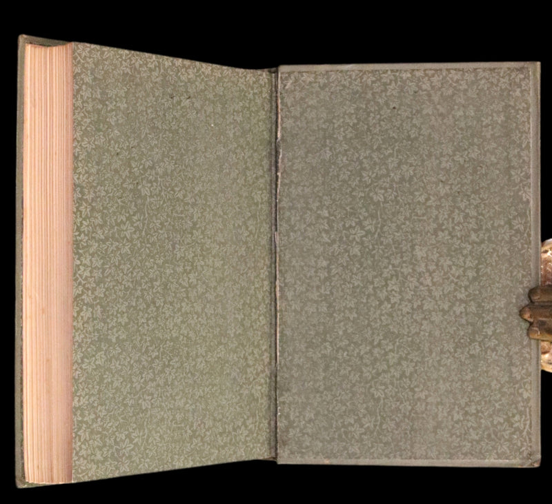 1878 Scarce First Edition - The Young Mountaineer or Frank Miller's Lot in Life. The Story of a Swiss Boy by Daryl Holme.