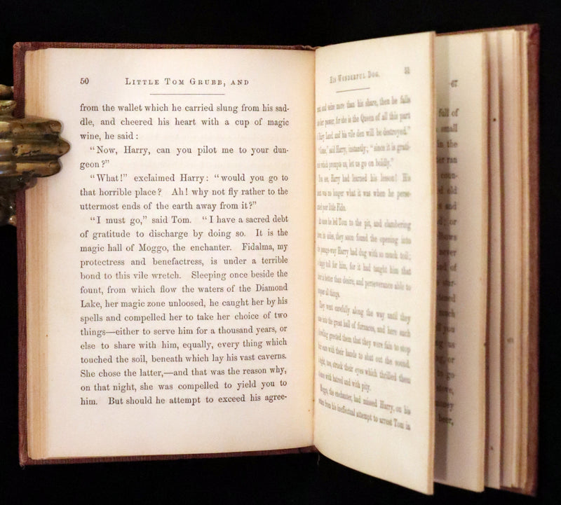 1859 Scarce Book - The FAIRIES IN AMERICA by Spencer W. Cone. Illustrated.