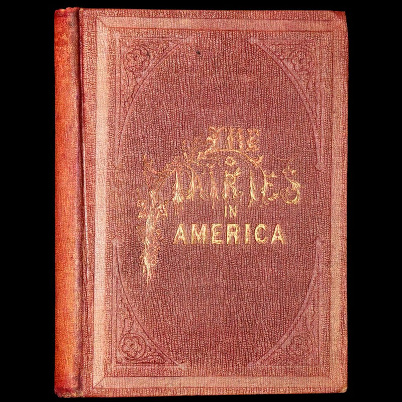 1859 Scarce Book - The FAIRIES IN AMERICA by Spencer W. Cone. Illustrated.