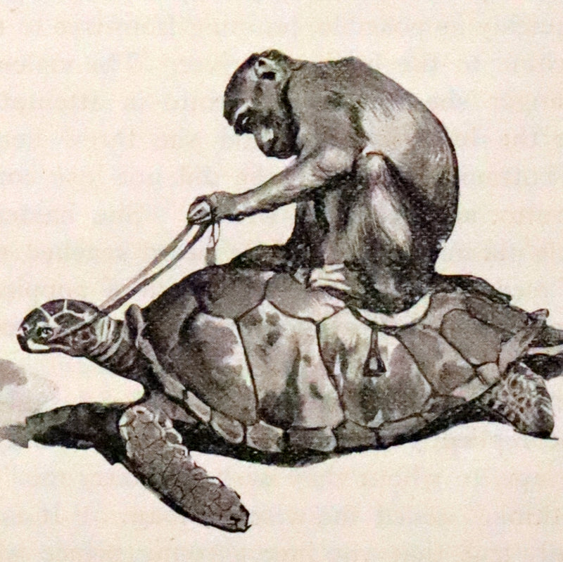 1902 Scarce Victorian Book - The Fairy Tales of Madame d'Aulnoy illustrated by Clinton Peters.