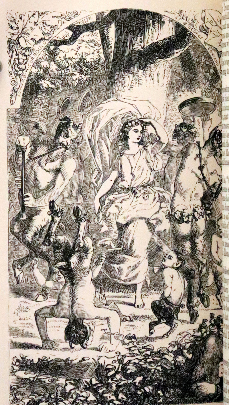 1865 Rare Book - The FAERIE QUEENE by Edmund Spenser, Illustrated by Edward Corbould.