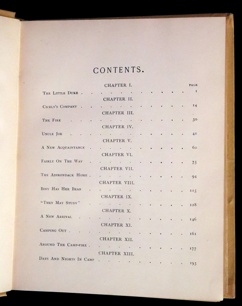 1890 Rare First Edition ~ An Adirondack Cabin: A Family Story by Margaret Sidney.