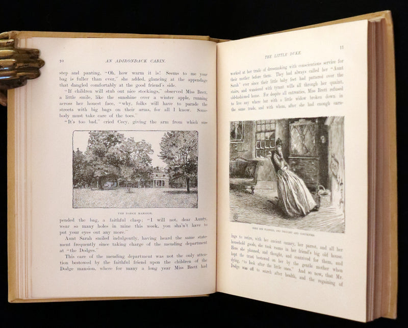 1890 Rare First Edition ~ An Adirondack Cabin: A Family Story by Margaret Sidney.
