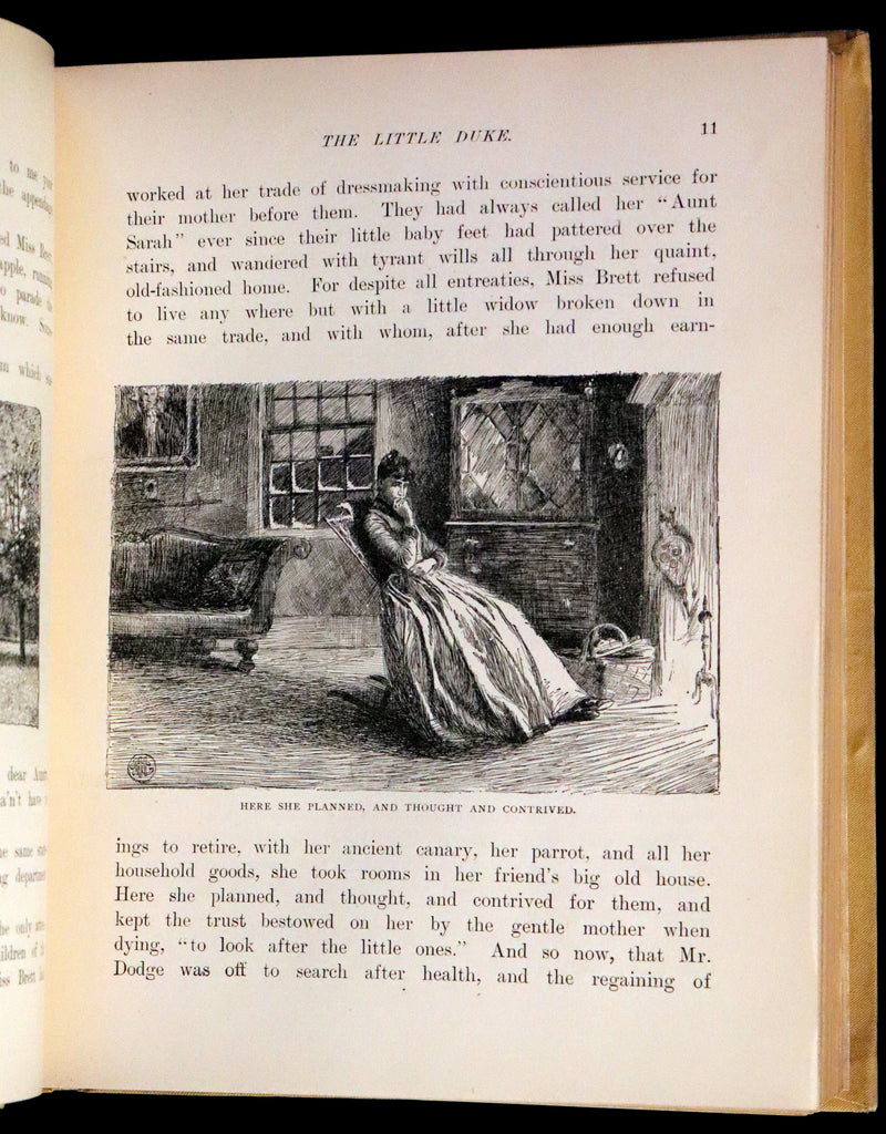 1890 Rare First Edition ~ An Adirondack Cabin: A Family Story by Margaret Sidney.