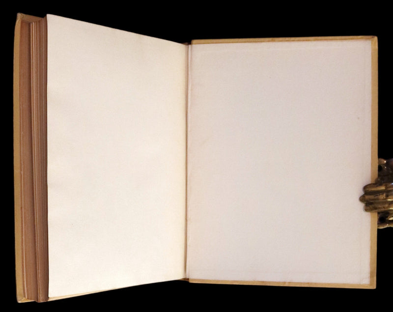 1890 Rare First Edition ~ An Adirondack Cabin: A Family Story by Margaret Sidney.