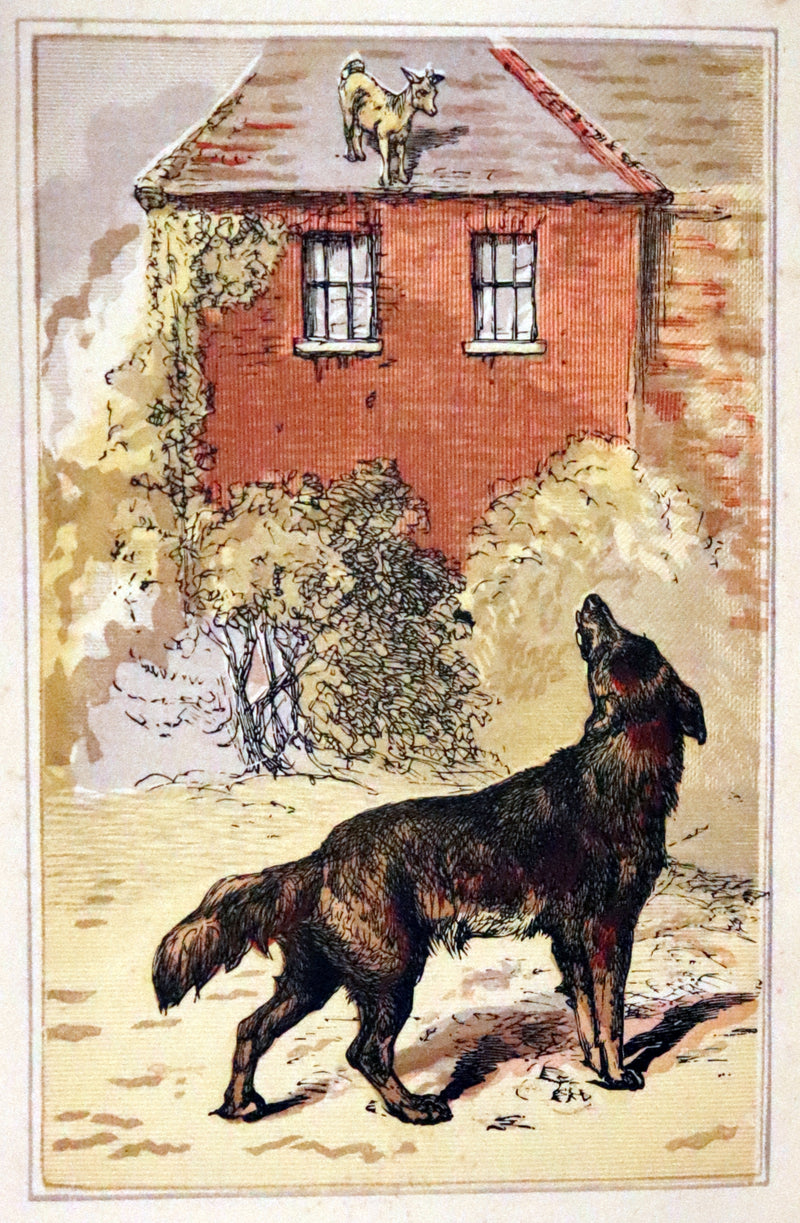 1875 Rare Book - Three Hundred Aesop's Fables beautifully Illustrated by Harrison Weir.