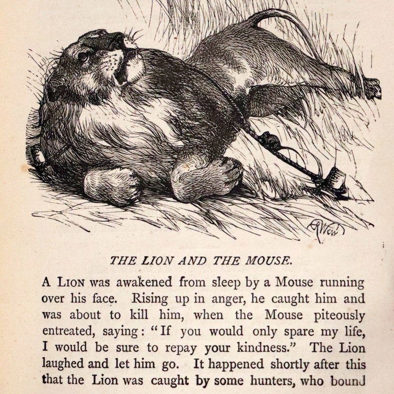 1875 Rare Book - Three Hundred Aesop's Fables beautifully Illustrated by Harrison Weir.