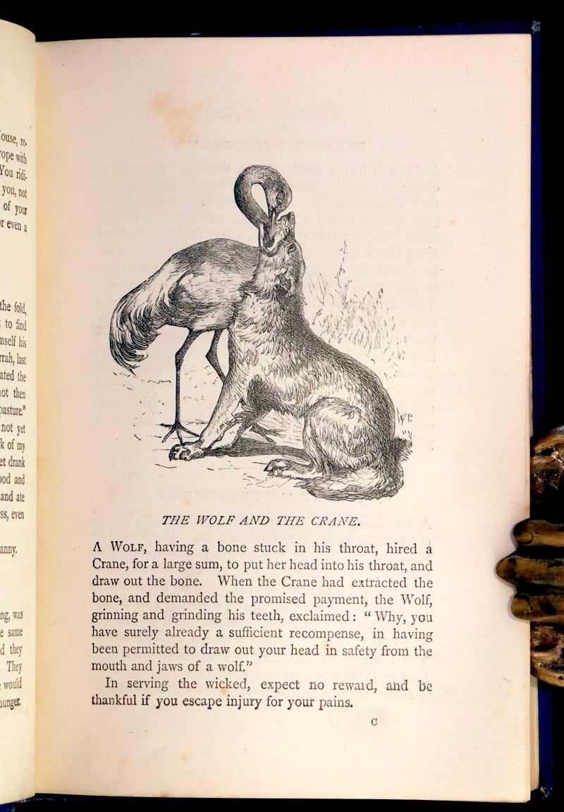 1875 Rare Book - Three Hundred Aesop's Fables beautifully Illustrated by Harrison Weir.