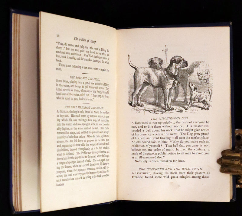 1875 Rare Book - Three Hundred Aesop's Fables beautifully Illustrated by Harrison Weir.