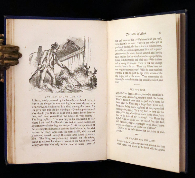1875 Rare Book - Three Hundred Aesop's Fables beautifully Illustrated by Harrison Weir.