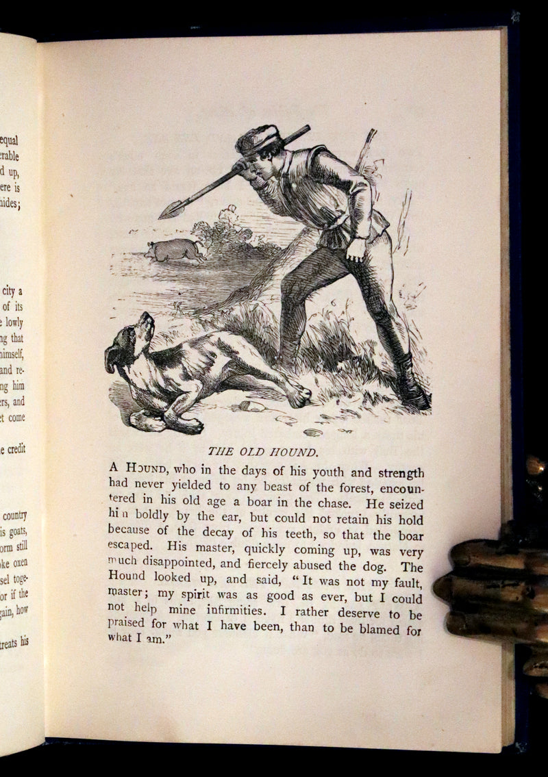 1875 Rare Book - Three Hundred Aesop's Fables beautifully Illustrated by Harrison Weir.